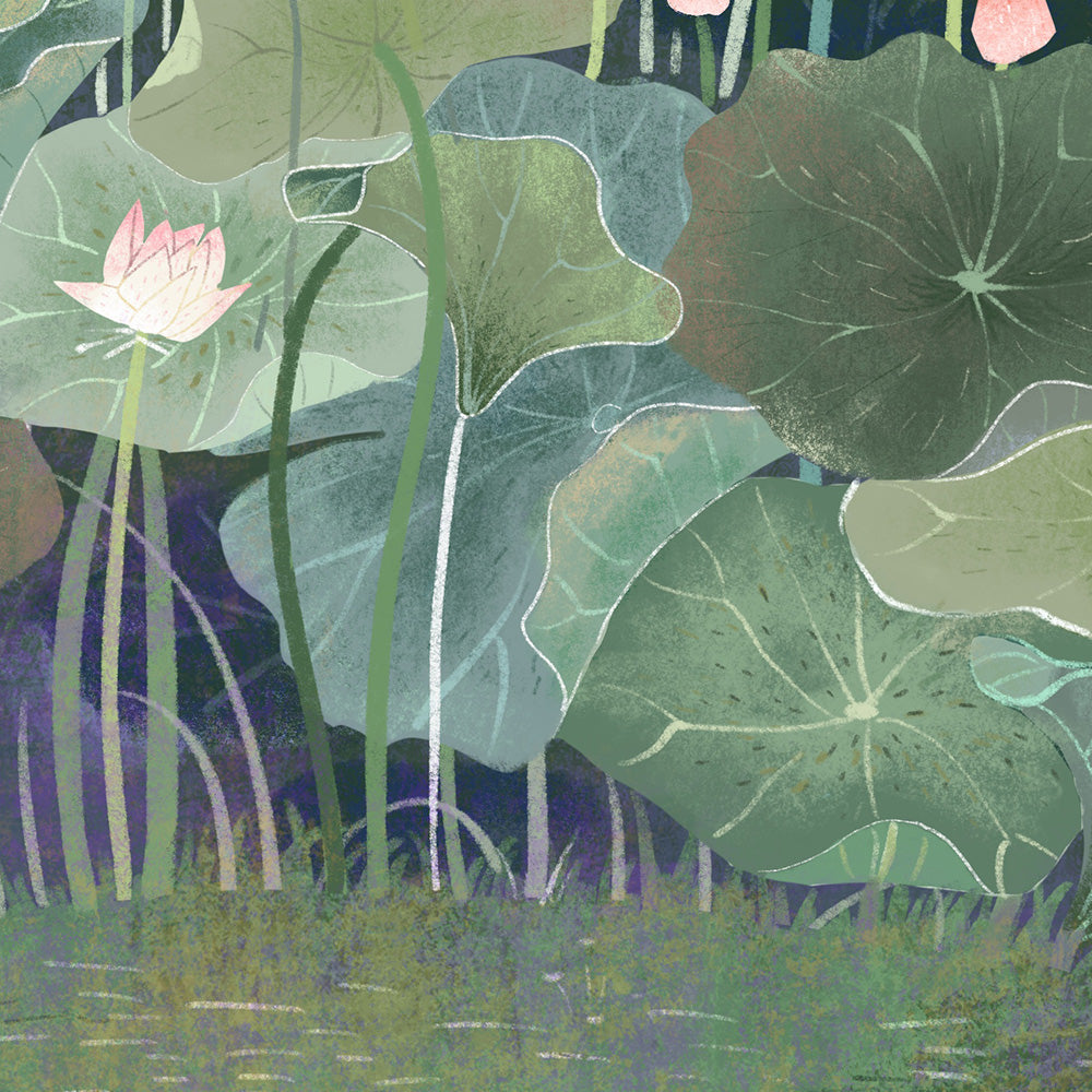 Lotus Leaf and Lotus Flower-Tea Little Tea