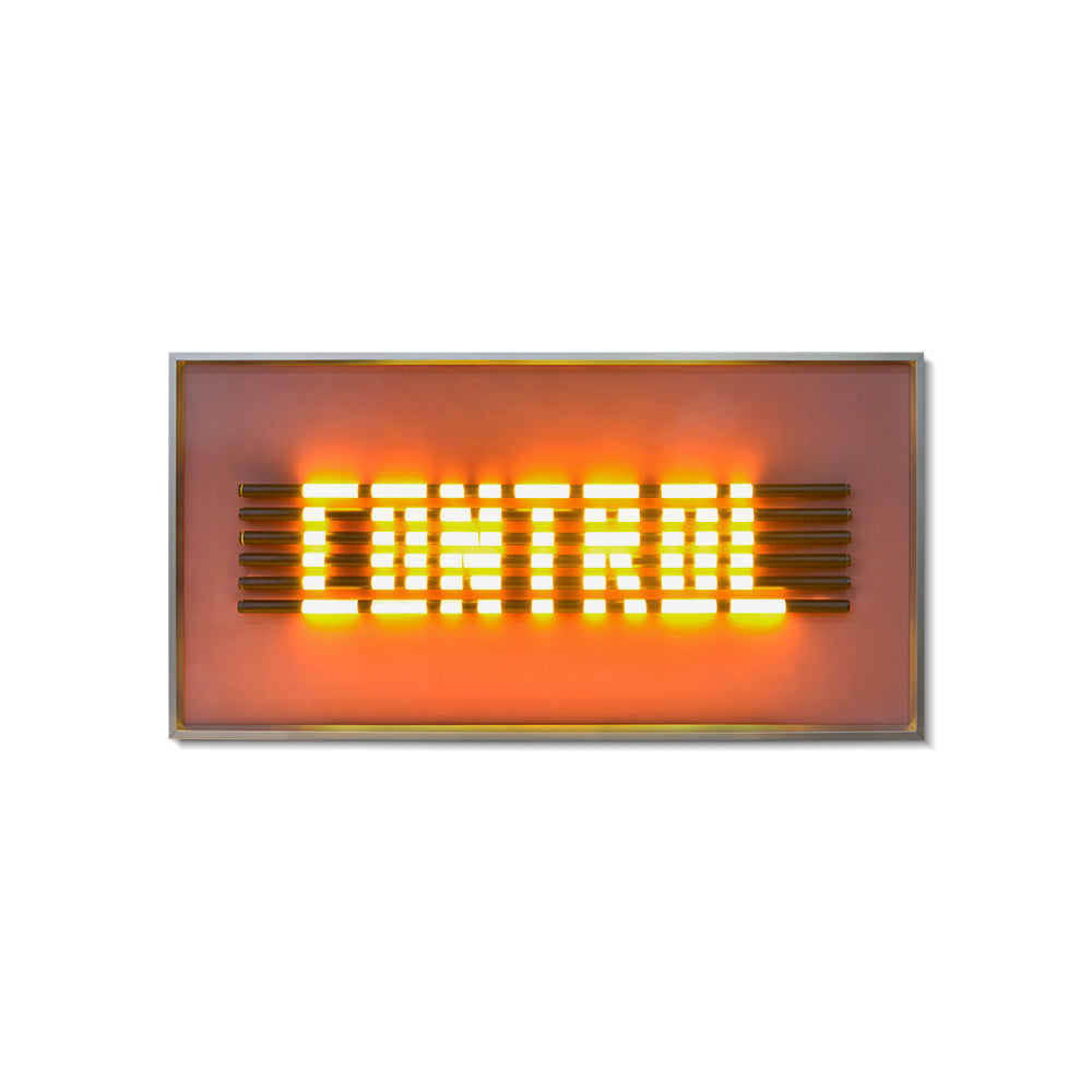 "CONTROL" Lighting Installation Art
