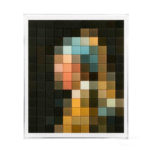 3D Acrylic Installation Art Mosaic Wall Art: Het Meisje Met De Parel