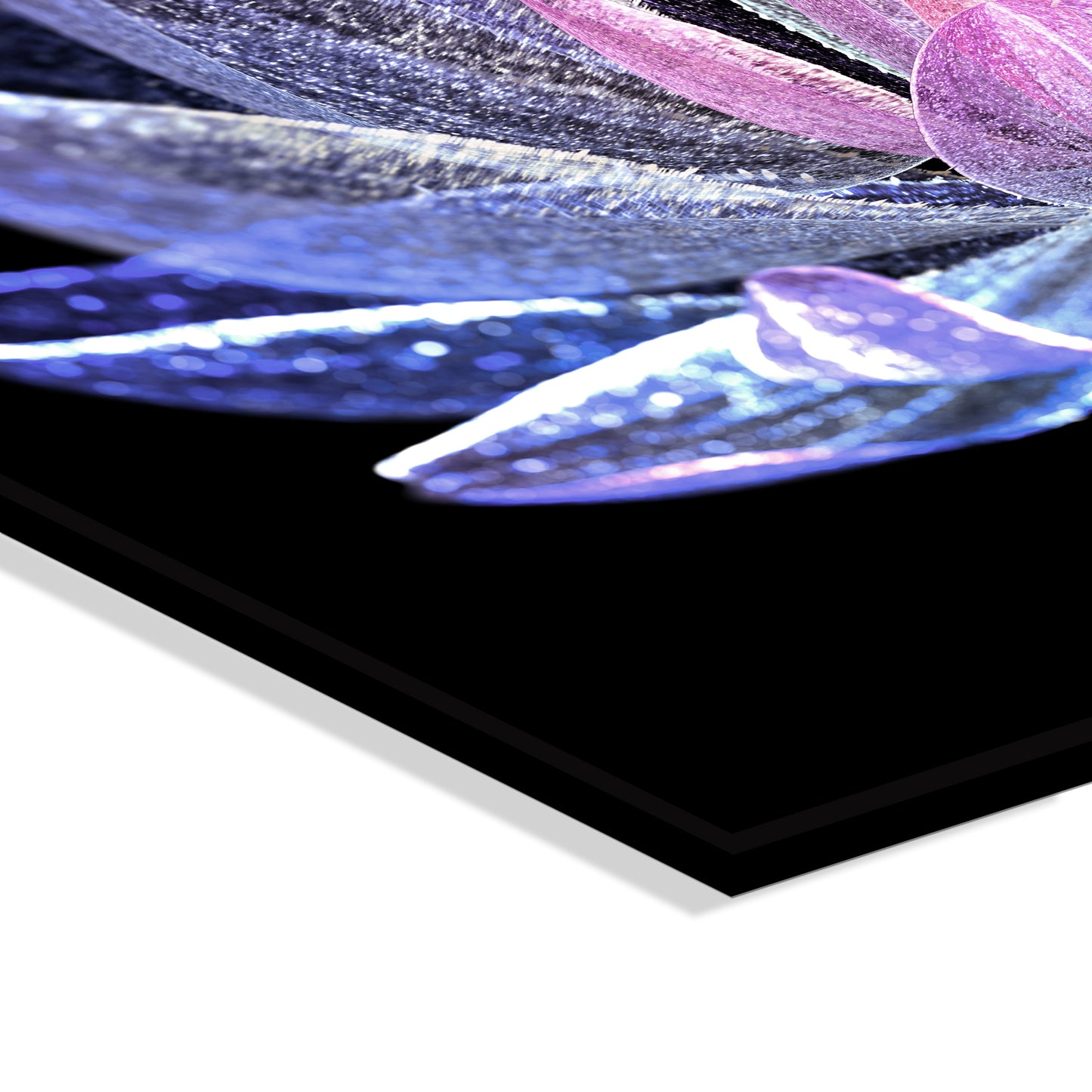 "Blooming"Frameless Acrylic Print