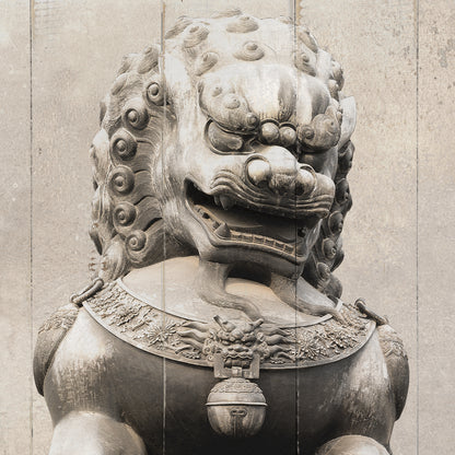 "stone lion"hand-stretched canvas prints