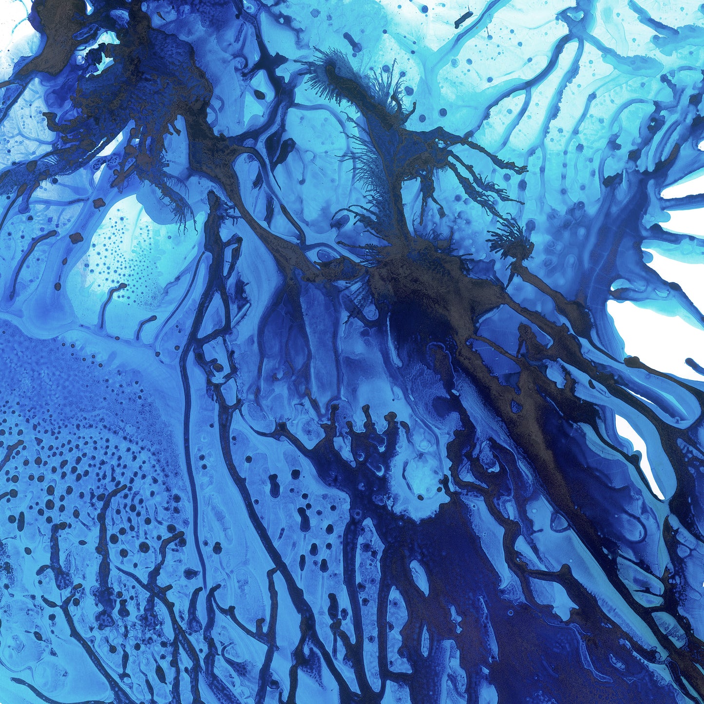 "Blue Rhythm" framed canvas prints