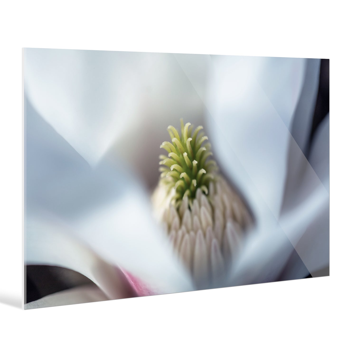 "Shanghai landscape"Frameless Acrylic Print