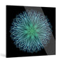 "Infinite"Frameless Acrylic Print