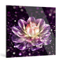 "Blooming"Frameless Acrylic Print