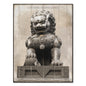 "stone lion"hand-stretched canvas prints