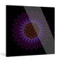 "universe"Frameless Acrylic Print
