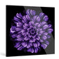 "Infinite"Frameless Acrylic Print