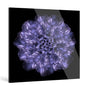 "Infinite"Frameless Acrylic Print