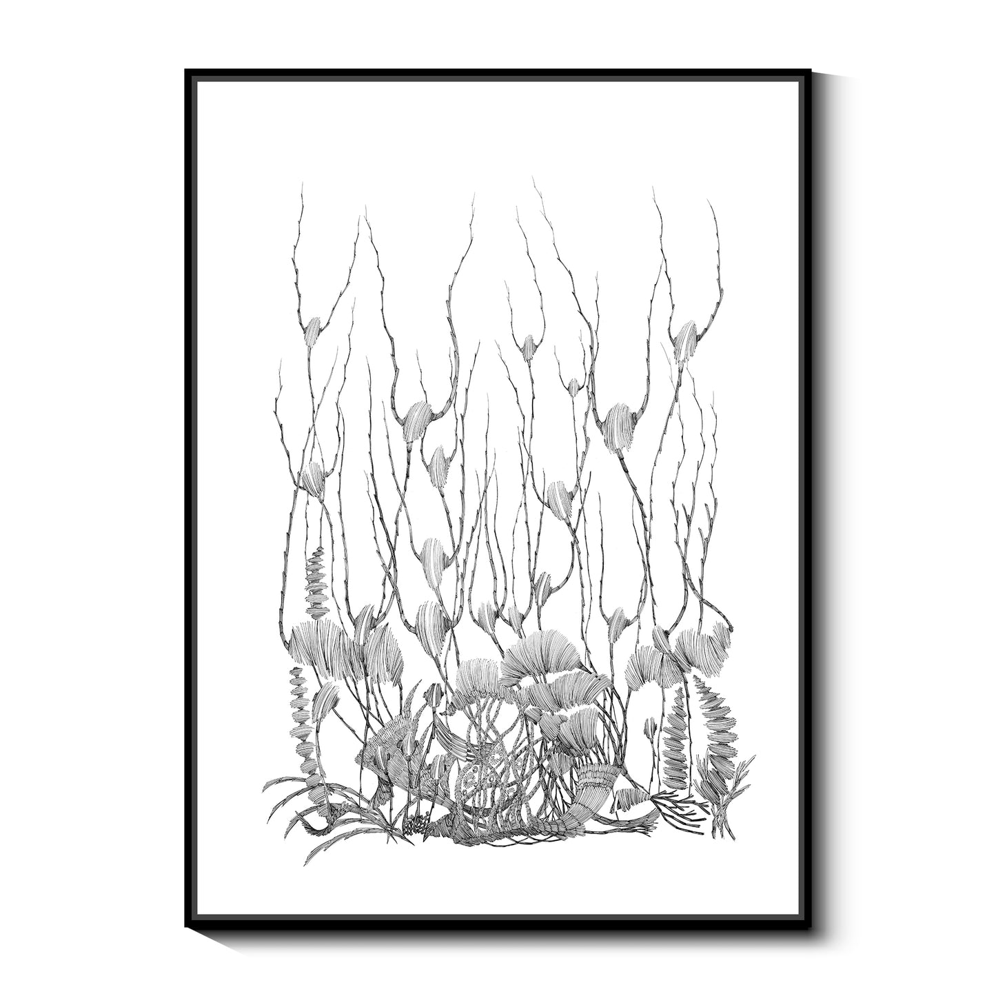 "Forest series"framed prints