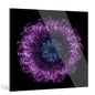 "Infinite"Frameless Acrylic Print