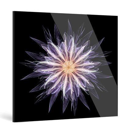 "universe"Frameless Acrylic Print