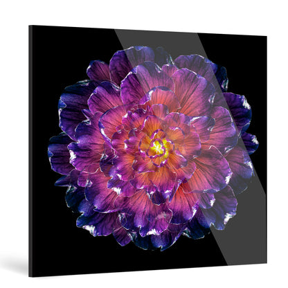 "universe"Frameless Acrylic Print
