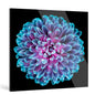 "Infinite"Frameless Acrylic Print