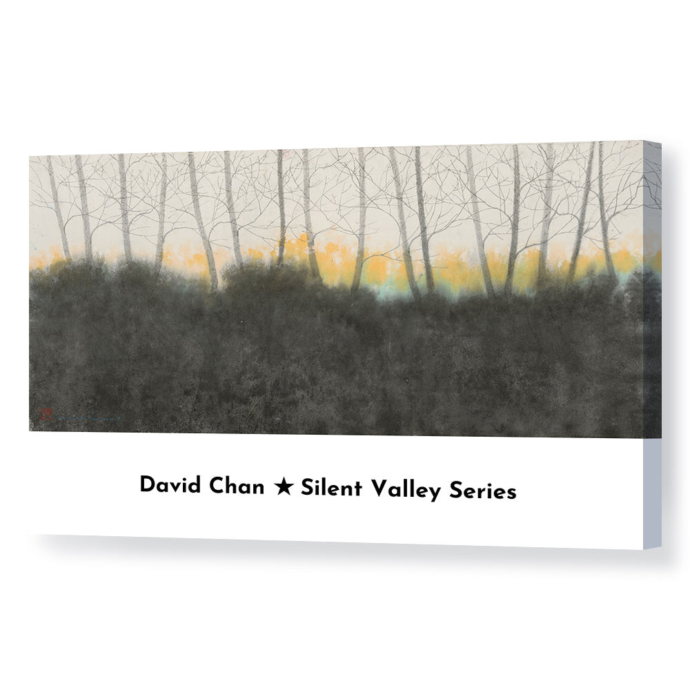 Silent Valley Series（2）-David Chan
