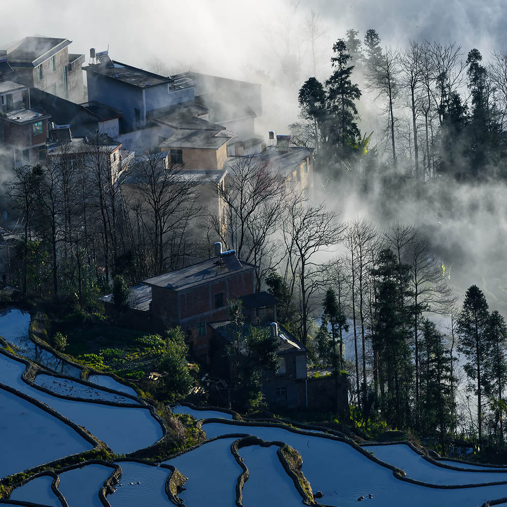 Landscape Surrounded By Fog-Shu Zhang