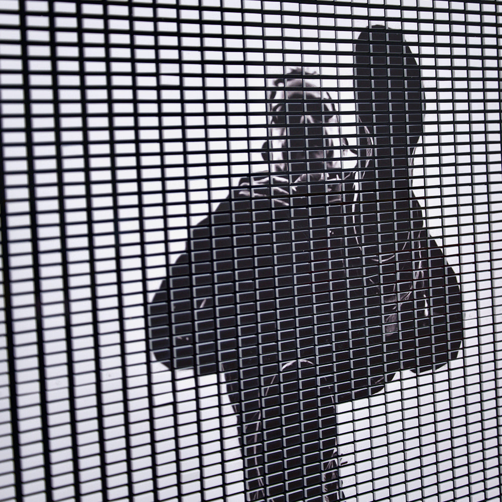 Overlooking Acrylic Installation Art