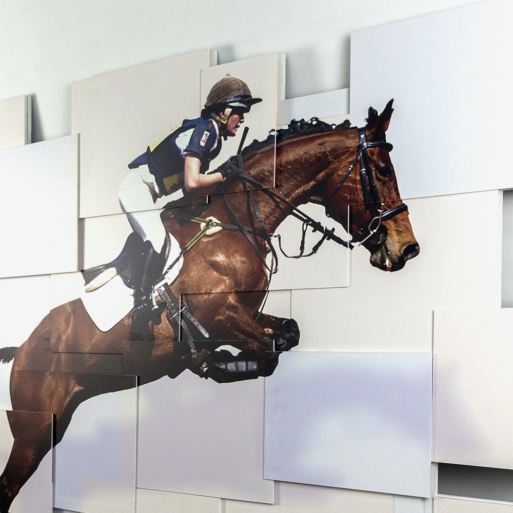 Equestrian Acrylic Installation Art